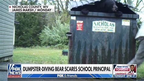 VIDEO: Black bear surprises principal at West Virginia school dumpster